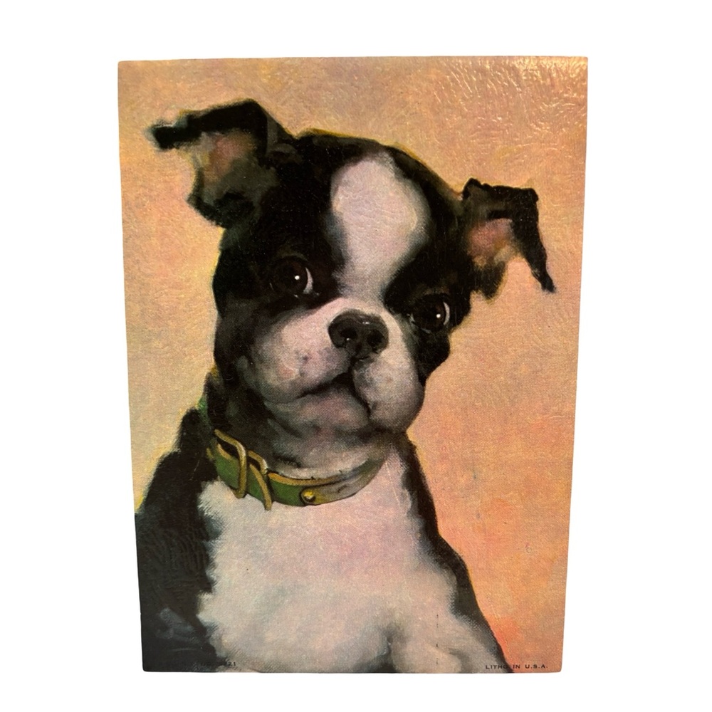Vintage Boston‎ Terrier Puppy Lithograph Print – Mid Century Dog Art
